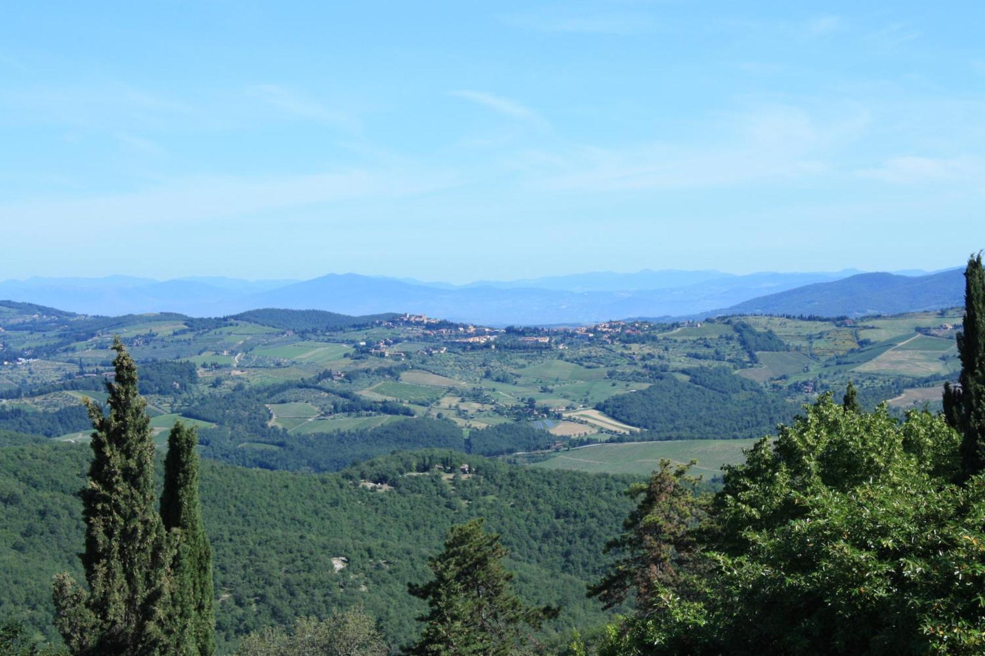 Villa Sant'Uberto Country Inn Radda in Chianti Exterior foto